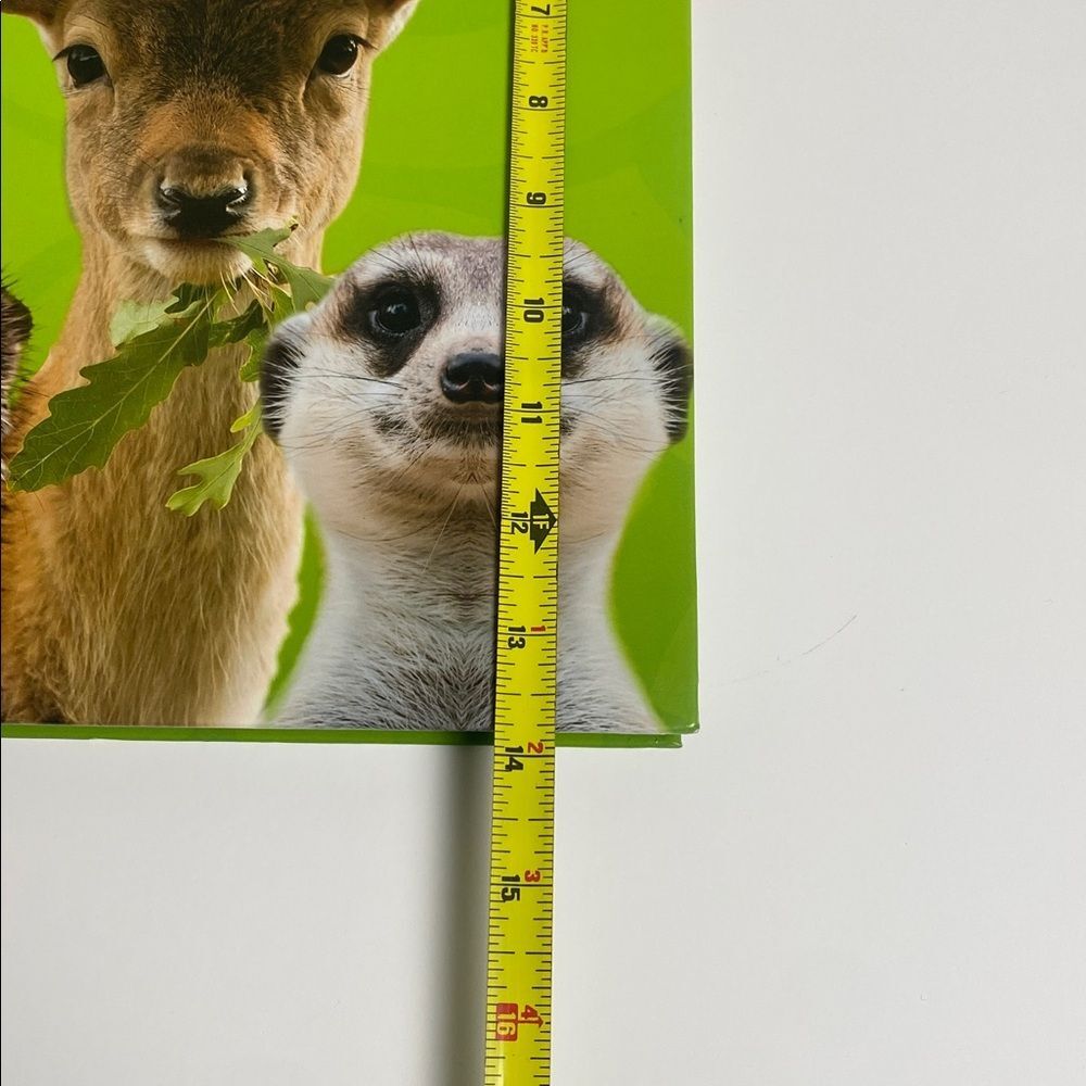 Master Books God's Big Book of Animals - Educational Book for Kids-Homeschool - Picture 15 of 16